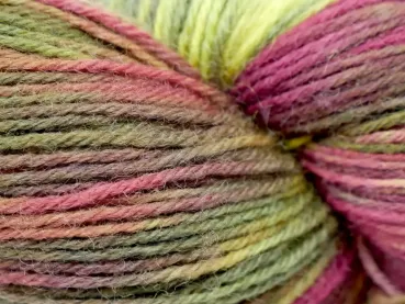 Preview: Sockenwolle handgefärbt in bordeaux-gelbgrün